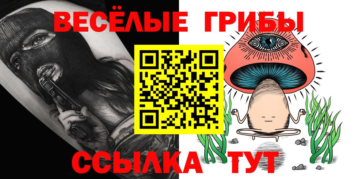 Псилоцибиновые грибы ЛСД Димитровград