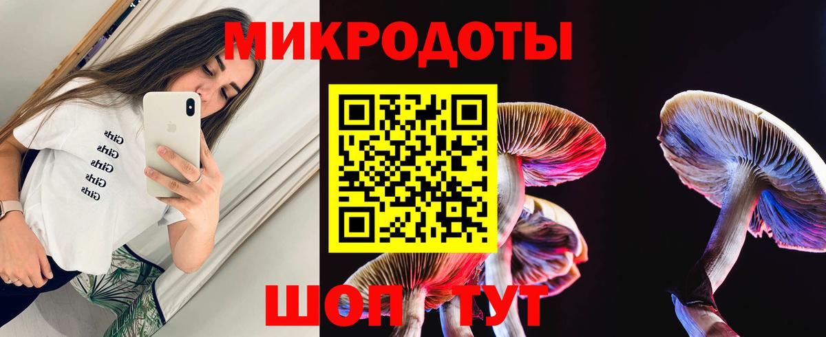 Димитровград  Галлюциногенные грибы Cubensis  Псилоцибиновые грибы Psilocybe  Вход с VPN 